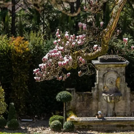 Chateau De Cols